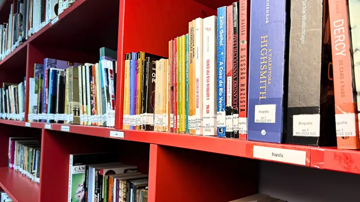 MEC Livros: Acesso Digital Revoluciona o Ensino no Brasil